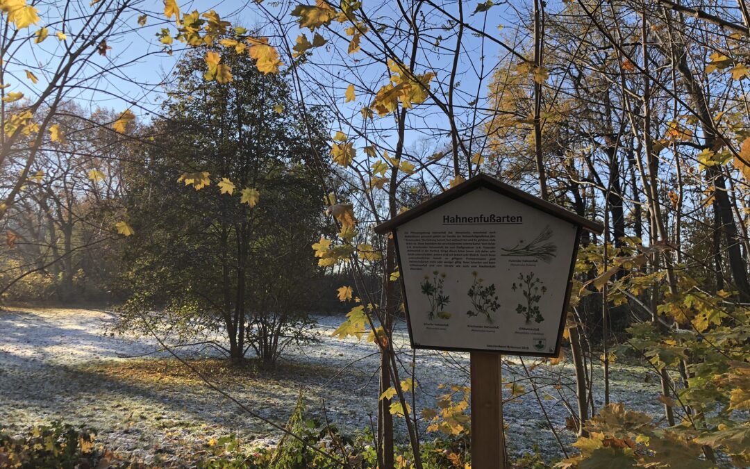 Zweinaundorfer Gutspark