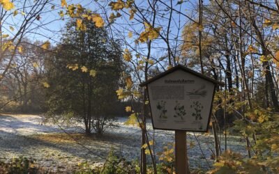Zweinaundorfer Gutspark