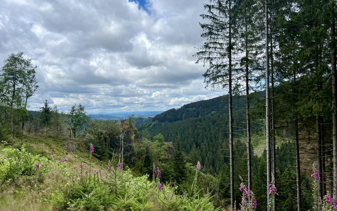Familienauszeit in Oberhof