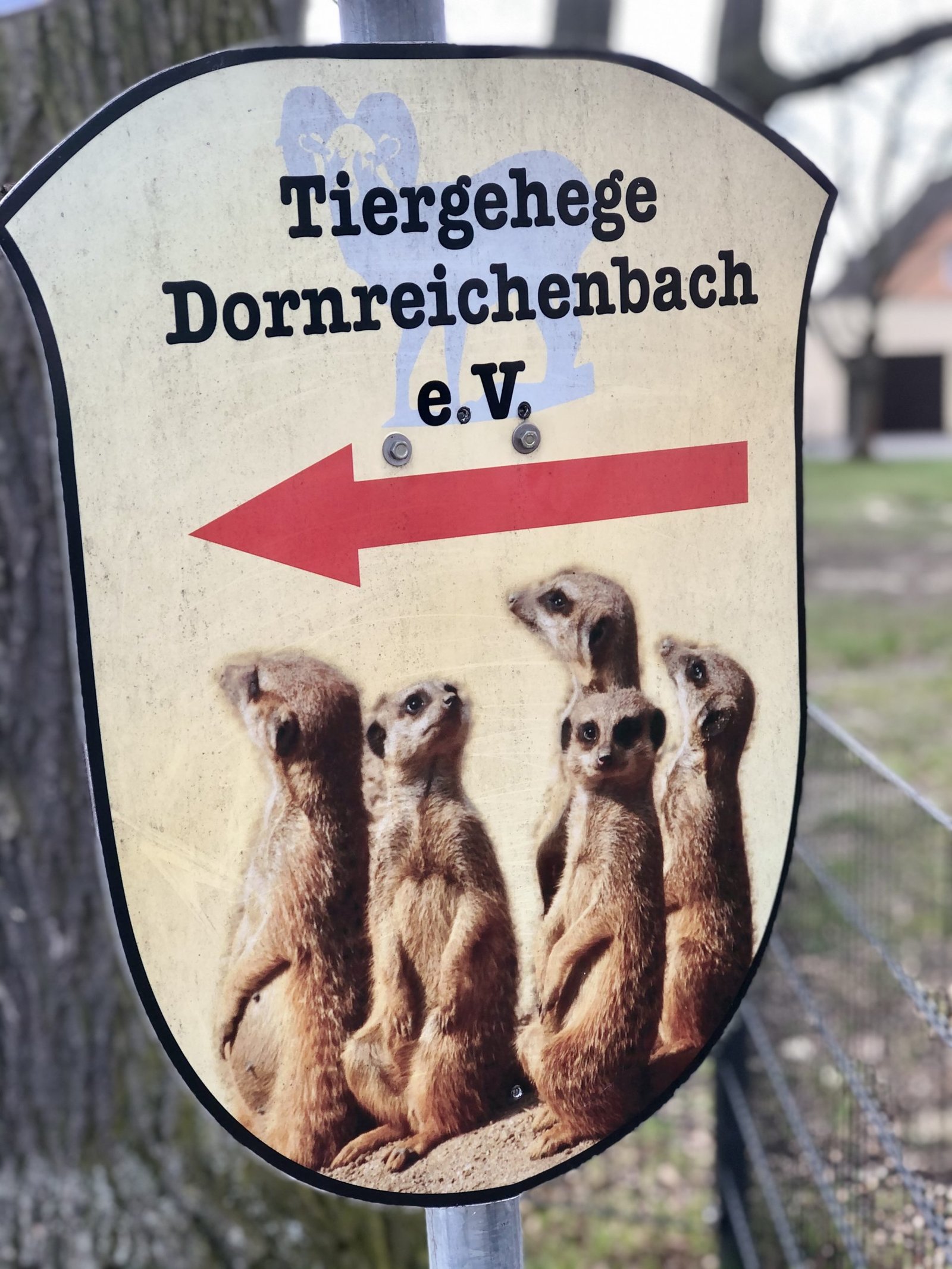 @Gemeinde_Muldestausee