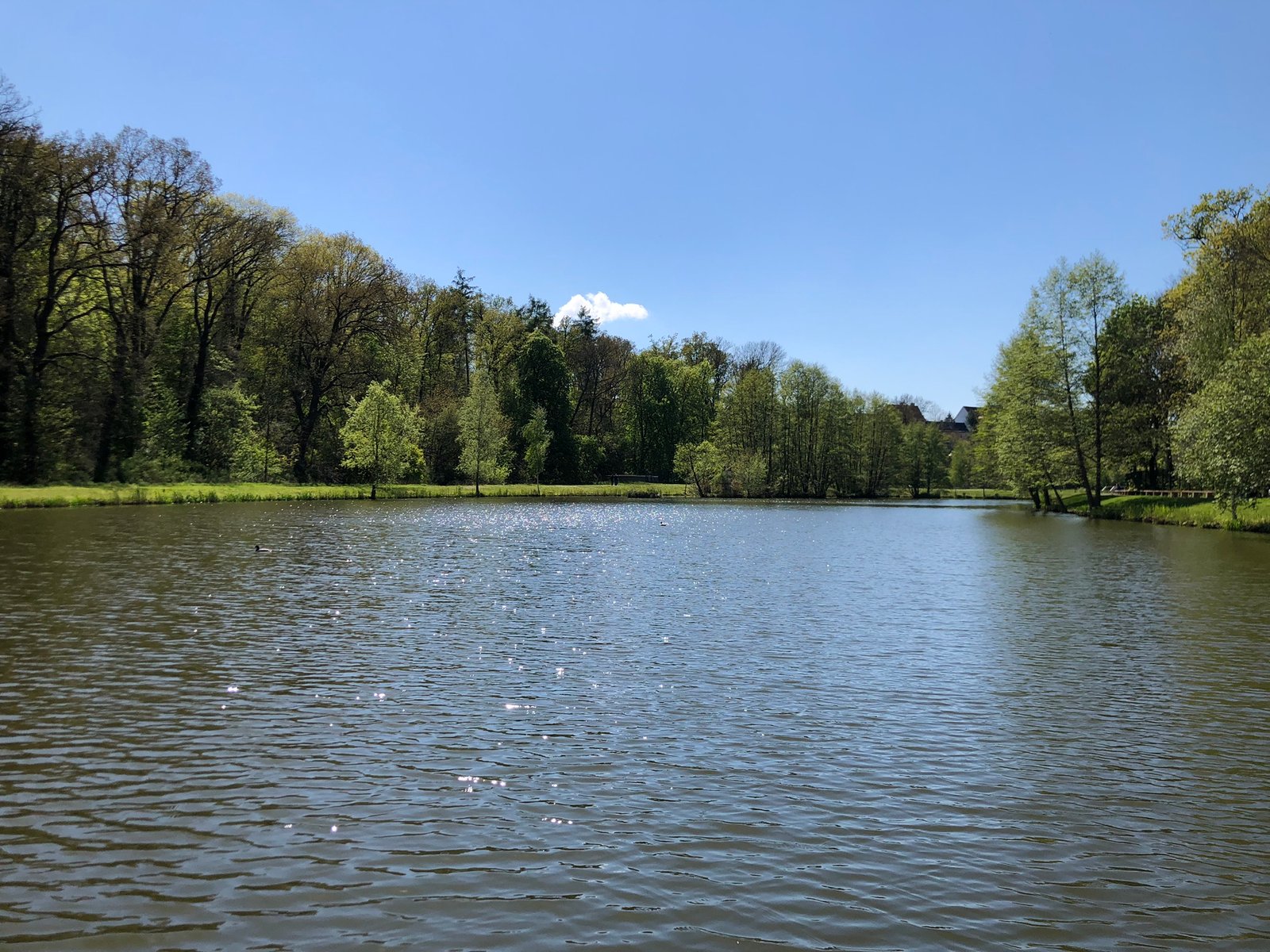 @Gemeinde_Muldestausee
