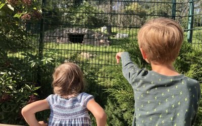 Alternativen zum Leipziger Zoo