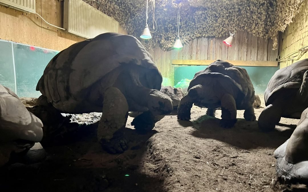 Alternativen zum Leipziger Zoo – Teil 3
