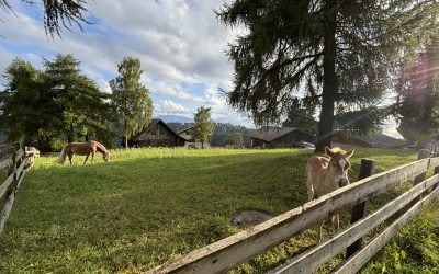 Apfelstrudel und Abenteuer- unser Familienurlaub in Südtirol