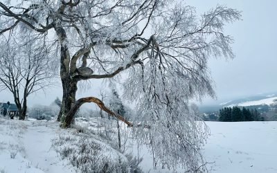 Ein Familien-wochenende in Klingenthal