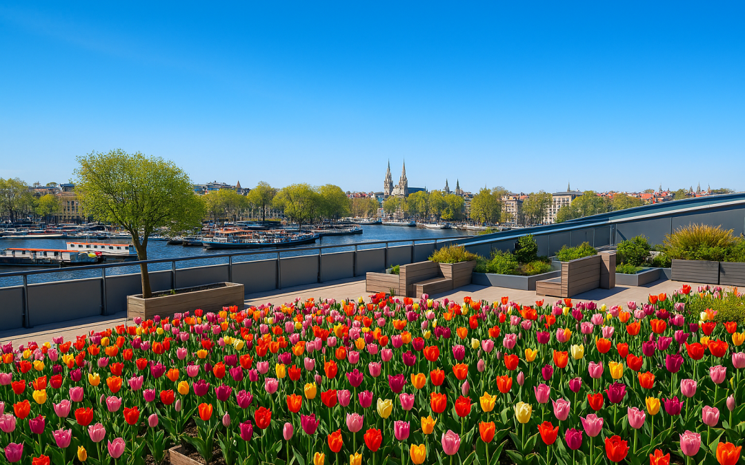Abenteuerjahr 2026 – Unsere Familien-Bucketlist