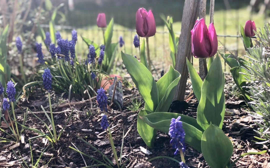 Ostern in Leipzig: Ausflugstipps & Veranstaltungen für Familien