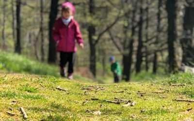 Naturlehrpfade im Leipziger Stadtgebiet und darüber hinaus