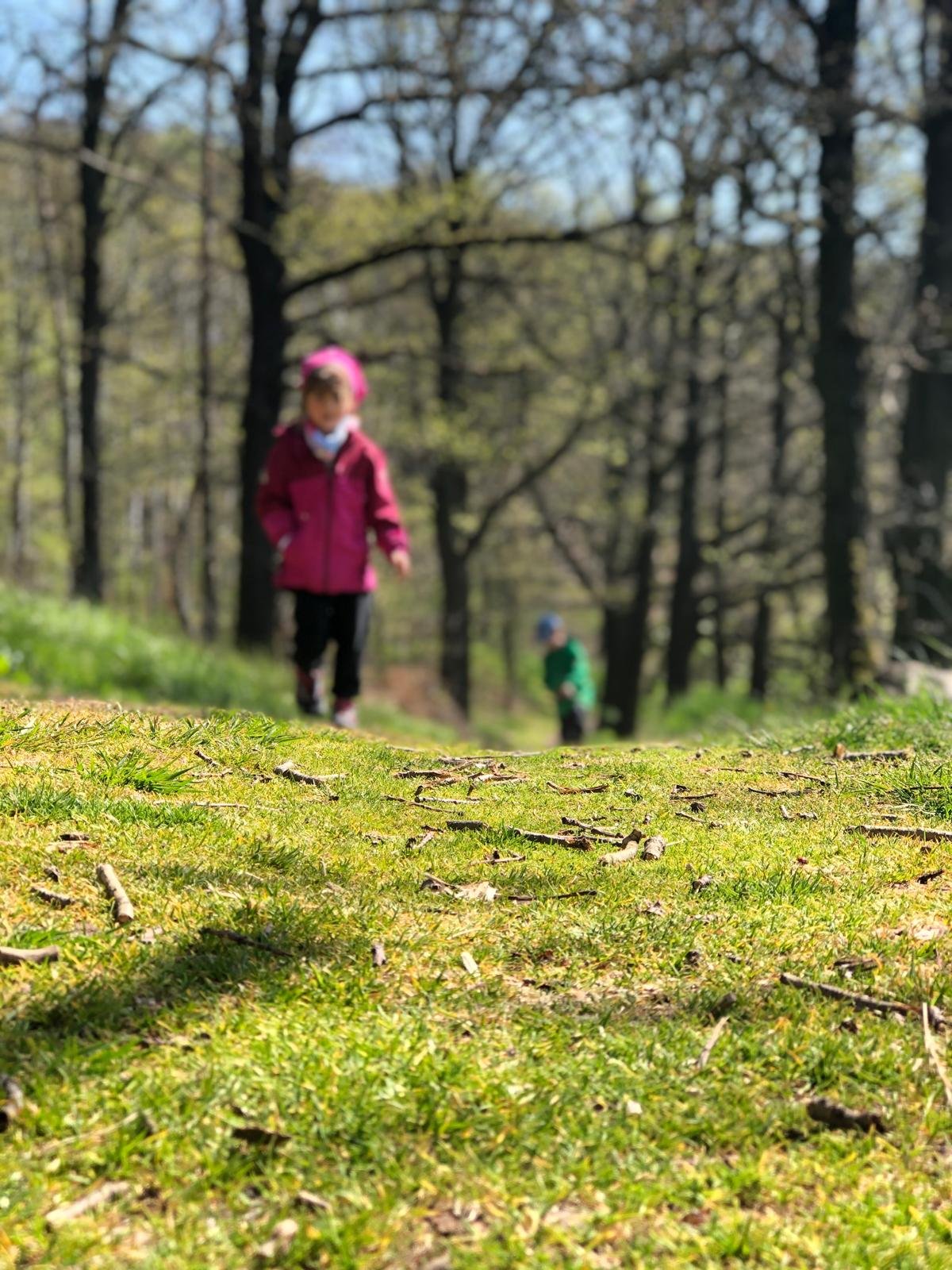 Naturlehpfad-03 Bild von JackieLou DL auf Pixabay