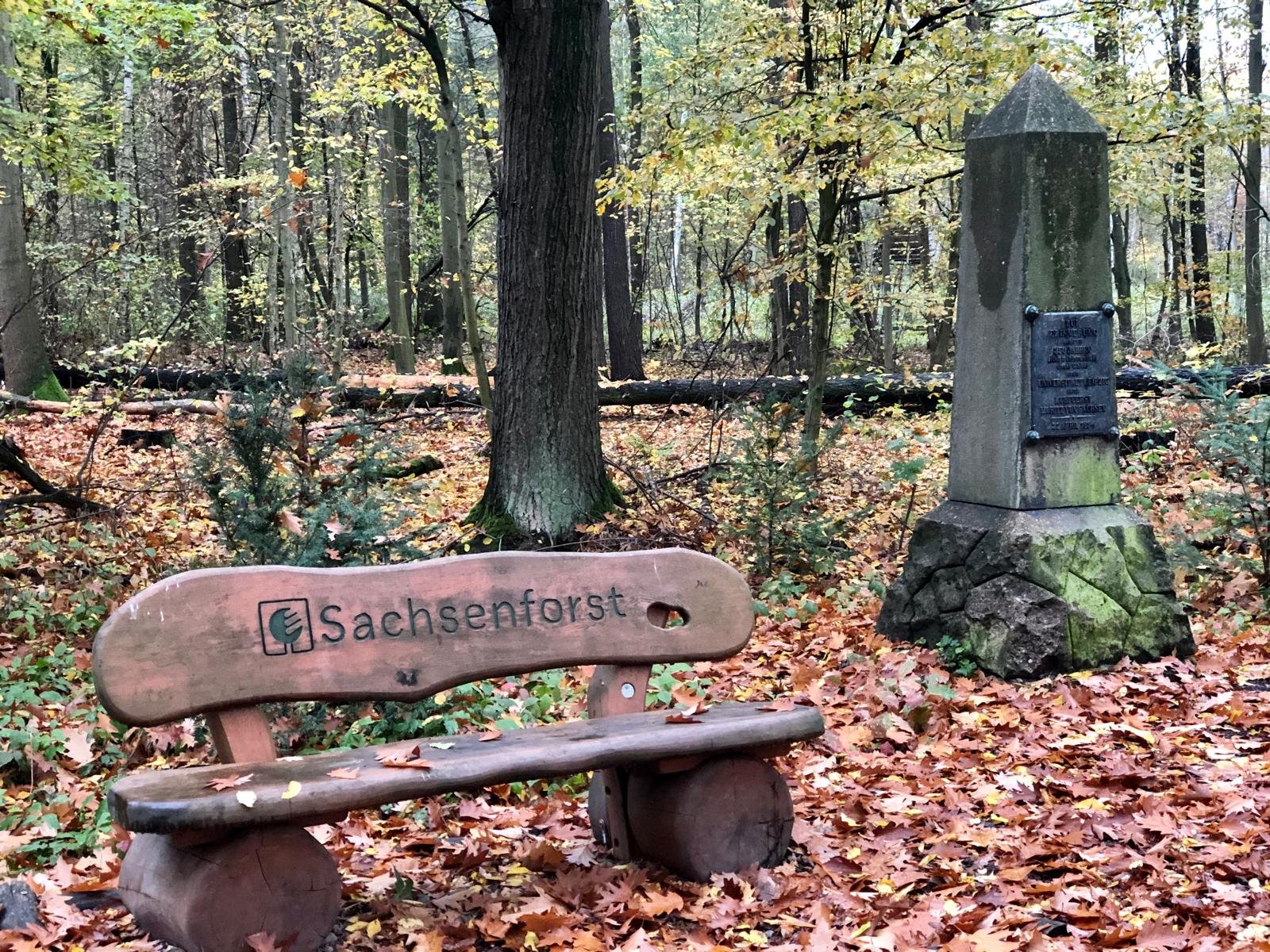 Bild von JackieLou DL auf Pixabay