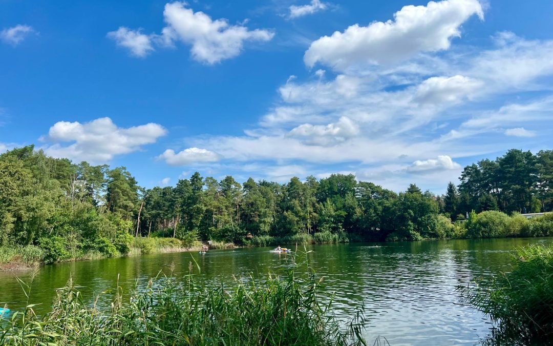 Badeseen Leipzig: Die besten Seen für Familien mit Kindern